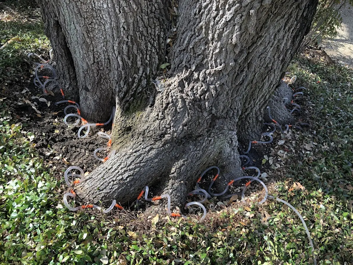 Detailed Shrub and Hedge Trimming job site in Glenpool