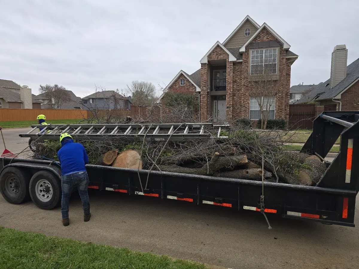 Expert Tree Fertilization with proper safety equipment in Glenpool